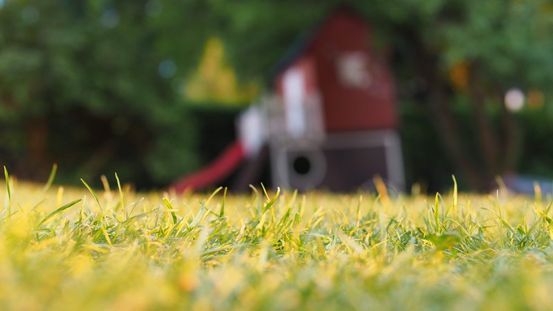 backyard of home