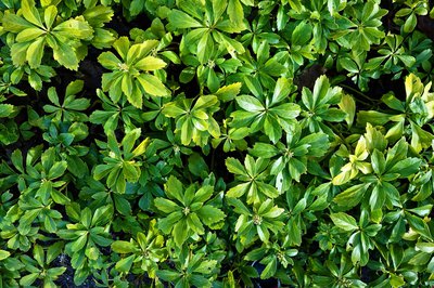 Property Management Newsletter - January 2018 cover