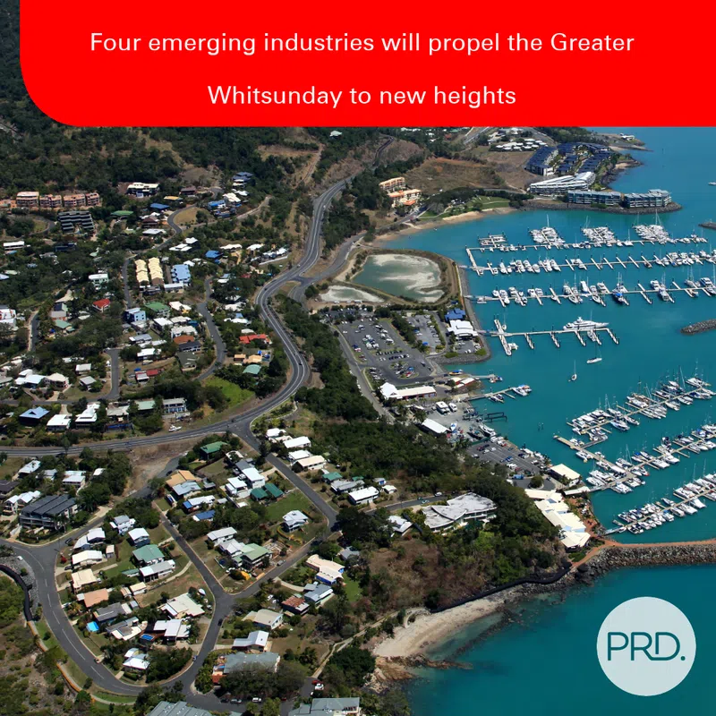 Four emerging industries will propel the Greater Whitsunday to new heights